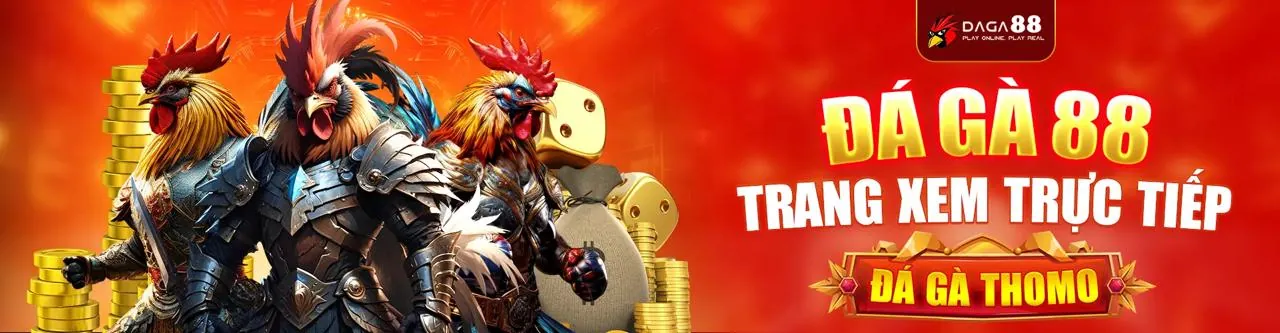 Hình ảnh sân vận động thể thao sôi động tại k9bet win