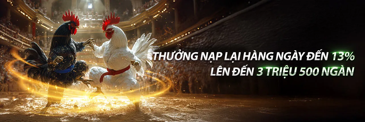 Tổng quan nền tảng k9bet win