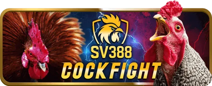 Bàn chơi Baccarat trực tuyến k9bet win