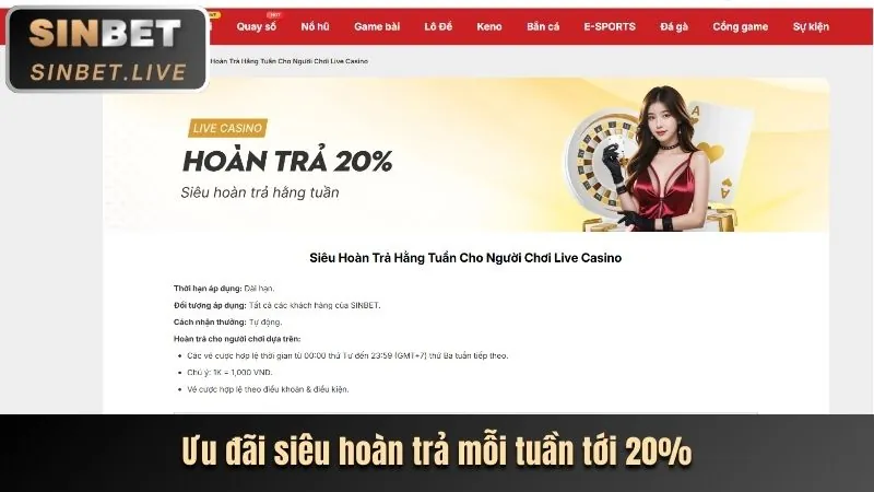 Sứ mệnh và tầm nhìn của k9bet win